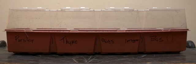 herbs labeled 
